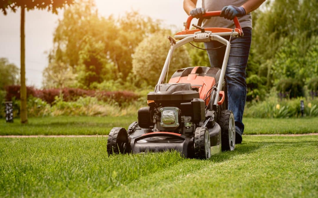Lantra Pedestrian mowers MOW02