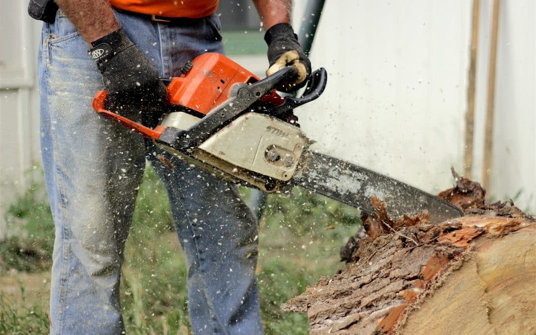 Chainsaw from a M.E.W.P. Level 3