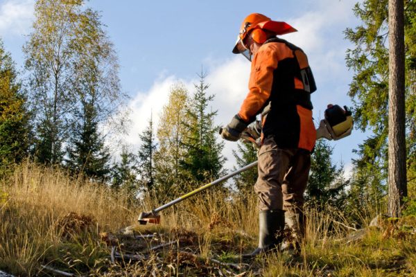 Lantra Brush cutter / trimmer TRM02