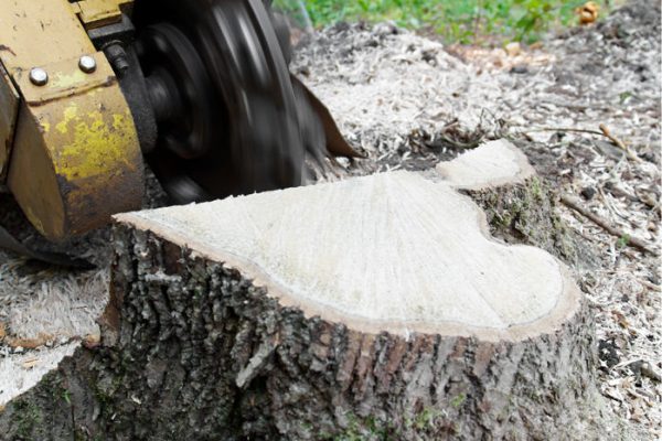 Stump grinders ARB11